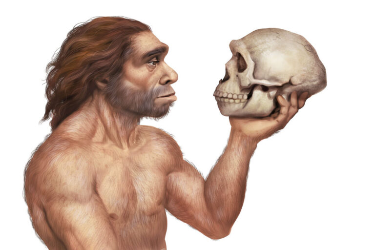 Njerëzit dhe Neandertalët mund t’i përkasin të njëjtës specie
