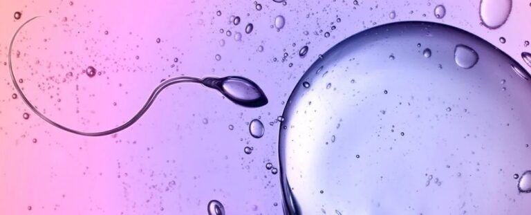 Shkencëtarët kapën spermën duke sfiduar një nga ligjet kryesore të fizikës