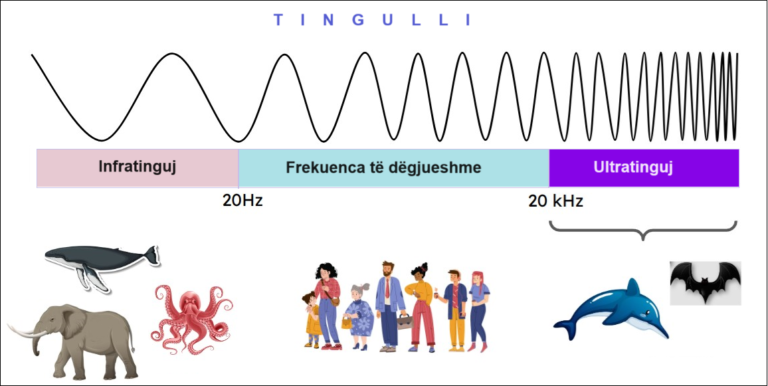 Tingulli