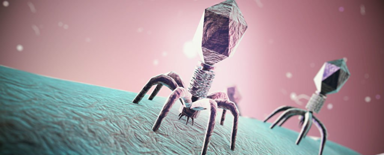 A janë gjallë viruset?