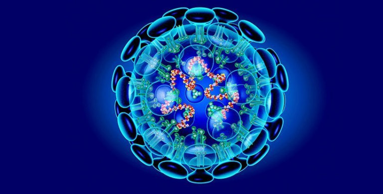 Çfarë është një virus?