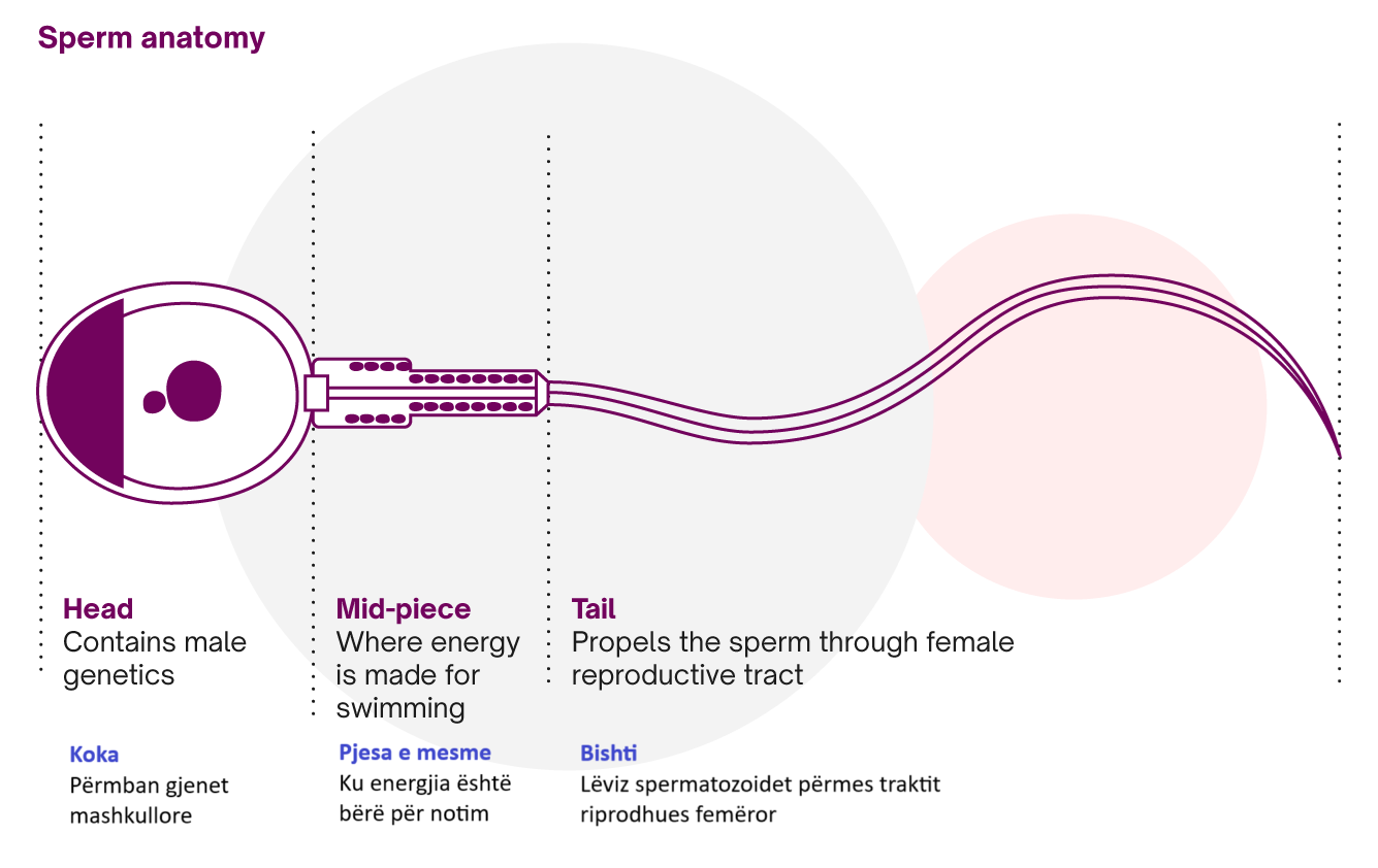 Xohlamasdan porno tomosha qiling