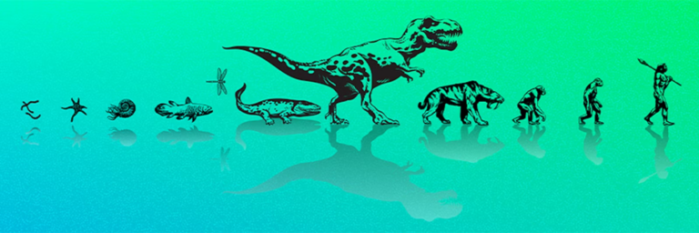 10 ide të gabuara rreth evolucionit