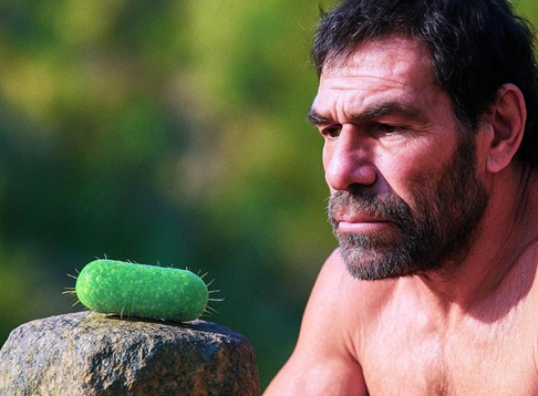 E gjithë jeta në Tokë vjen nga një paraardhës i vetëm