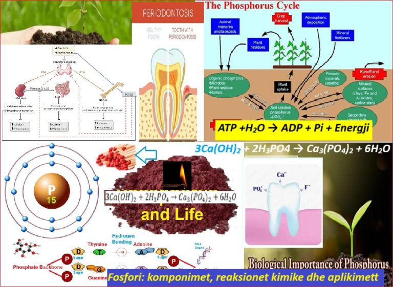 Fosfori: komponimet, reaksionet kimike dhe aplikimet