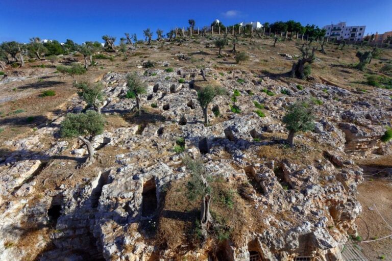 Rishkrimi i historisë: Studimi sfidon supozimet e mbajtura prej kohësh rreth qytetërimit fenikas