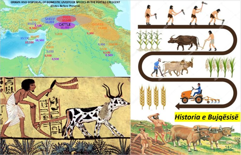 Historia e Bujqësisë