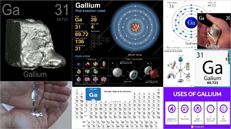 Galium