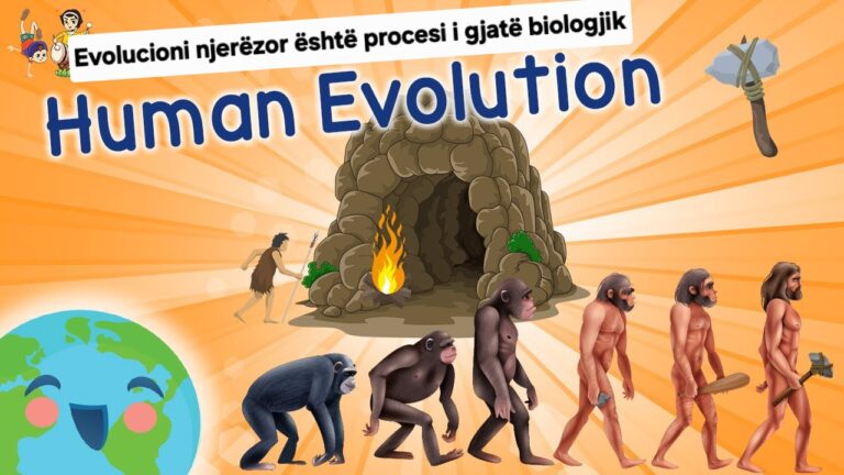 Linja kohore e evolucionit njerëzor është proces i gjatë biologjik