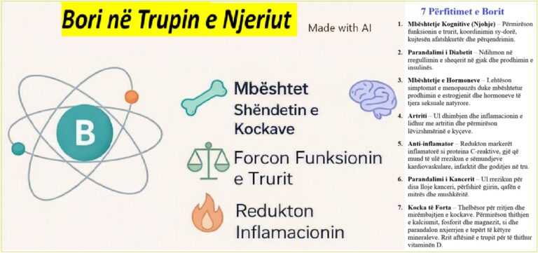 Bori në Trupin e Njeriut